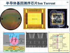 成功率和可靠性驅動的納米尺度集成電路設計方法學